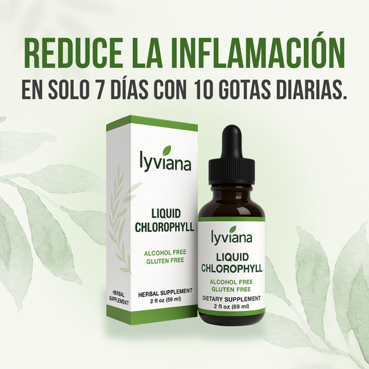 Gotas Clorofila - Sabor Menta